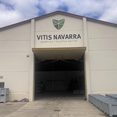 Vitis Navarra (Zayas de Báscones)