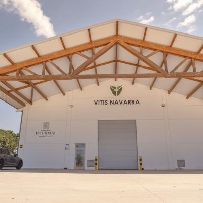 Vitis Navarra (Zayas de Bascones)